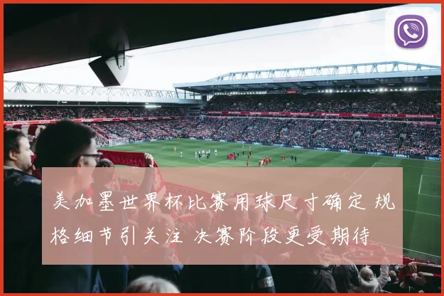 美加墨世界杯比赛用球尺寸确定 规格细节引关注 决赛阶段更受期待