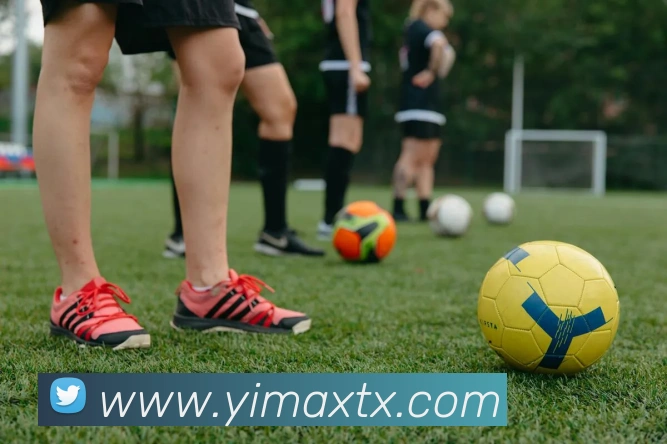 星空网官方登录平台生态图